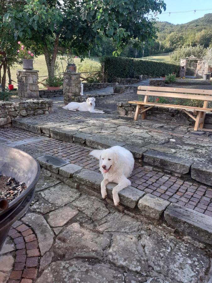 "Borgo Gerbina" Agriturismo & Azienda Agricola Sozzi Eksteriør billede